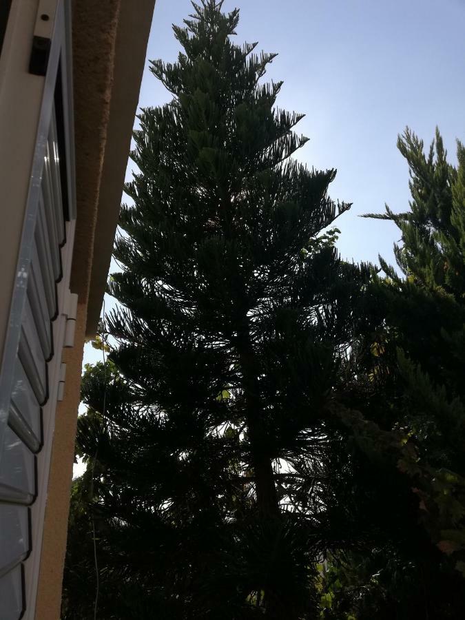 Ferienwohnung Chriselina Gottage Paphos Exterior foto