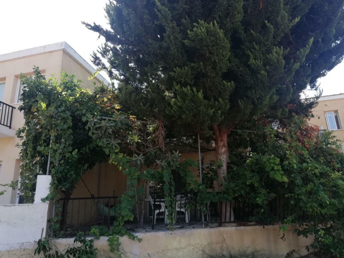 Ferienwohnung Chriselina Gottage Paphos Exterior foto