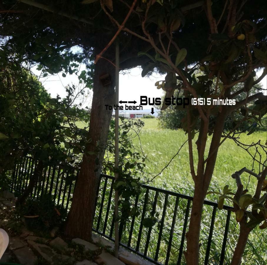 Ferienwohnung Chriselina Gottage Paphos Exterior foto